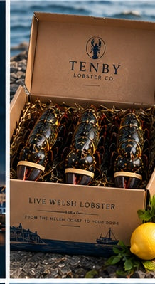 The Tenby Signature